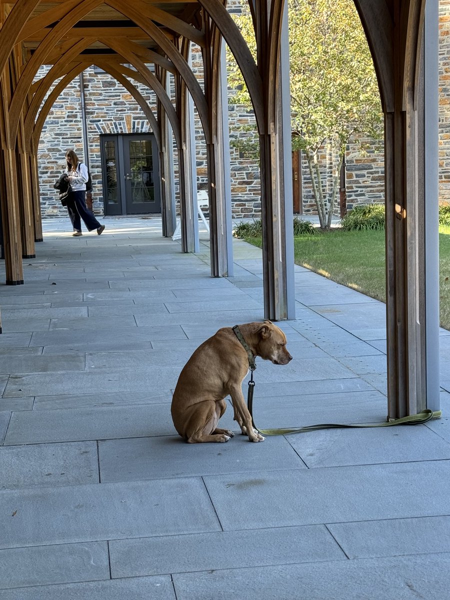 marciahmorey's tweet photo. Great early voting lines in Durham but this poor guy wasn’t registered. https://t.co/LktkmRGqt7