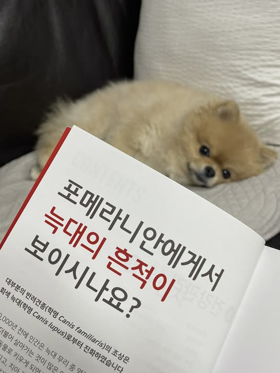 앤팀 정체성
