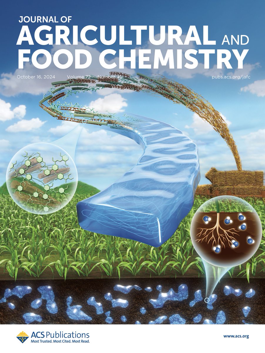 JAgFoodChem's tweet image. This week's issue of #JAFC is now online!

Our front cover portrays an #OpenAccess🔓 Review article on recent advances in #superabsorbent hydrogels derived from agro waste materials for sustainable agriculture. Read the #Review at
go.acs.org/bhZ