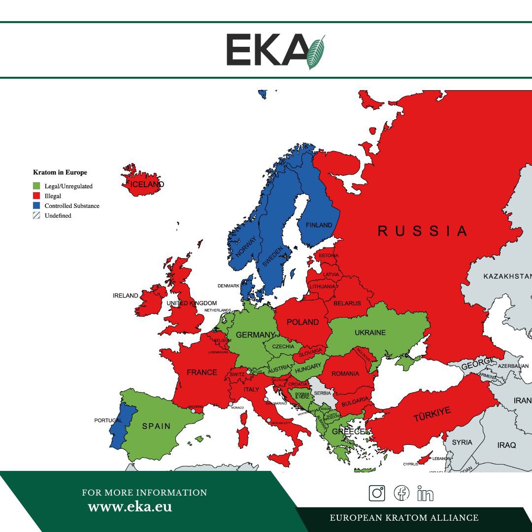 EuropeanKratom's tweet photo. Curious about Kratom laws across Europe? 🌿 Check out our map to see where it's legal and regulated as of late July 2024! 🇪🇺 Have questions? Comment below or send us a DM to learn more! 💚📬 https://t.co/pFcprr4cU8