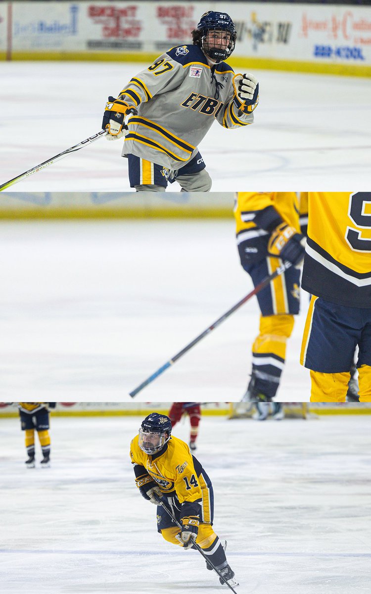 ETBU_Hockey's tweet image. If you don’t have Friday night Homecoming plans, now you do! Let’s end the 2024 year with a banger!

Up next: the Bears of Baylor walk into the Tigers den for some action! DON’T MISS IT!

#TexasTigers #feartheroar🐅 #TCHC
