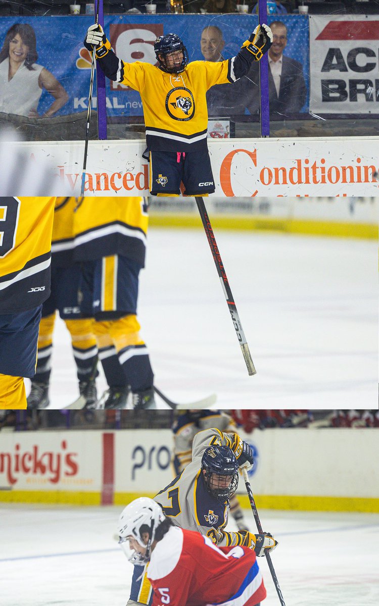 ETBU_Hockey's tweet image. If you don’t have Friday night Homecoming plans, now you do! Let’s end the 2024 year with a banger!

Up next: the Bears of Baylor walk into the Tigers den for some action! DON’T MISS IT!

#TexasTigers #feartheroar🐅 #TCHC