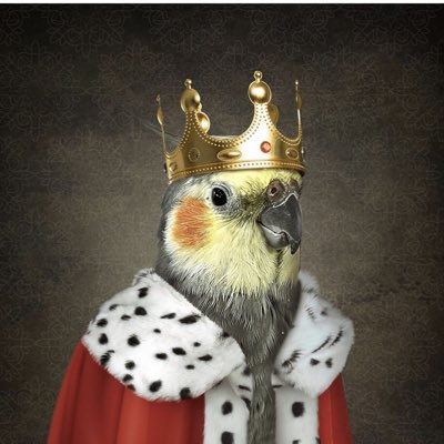 DJ RINCON tweet media