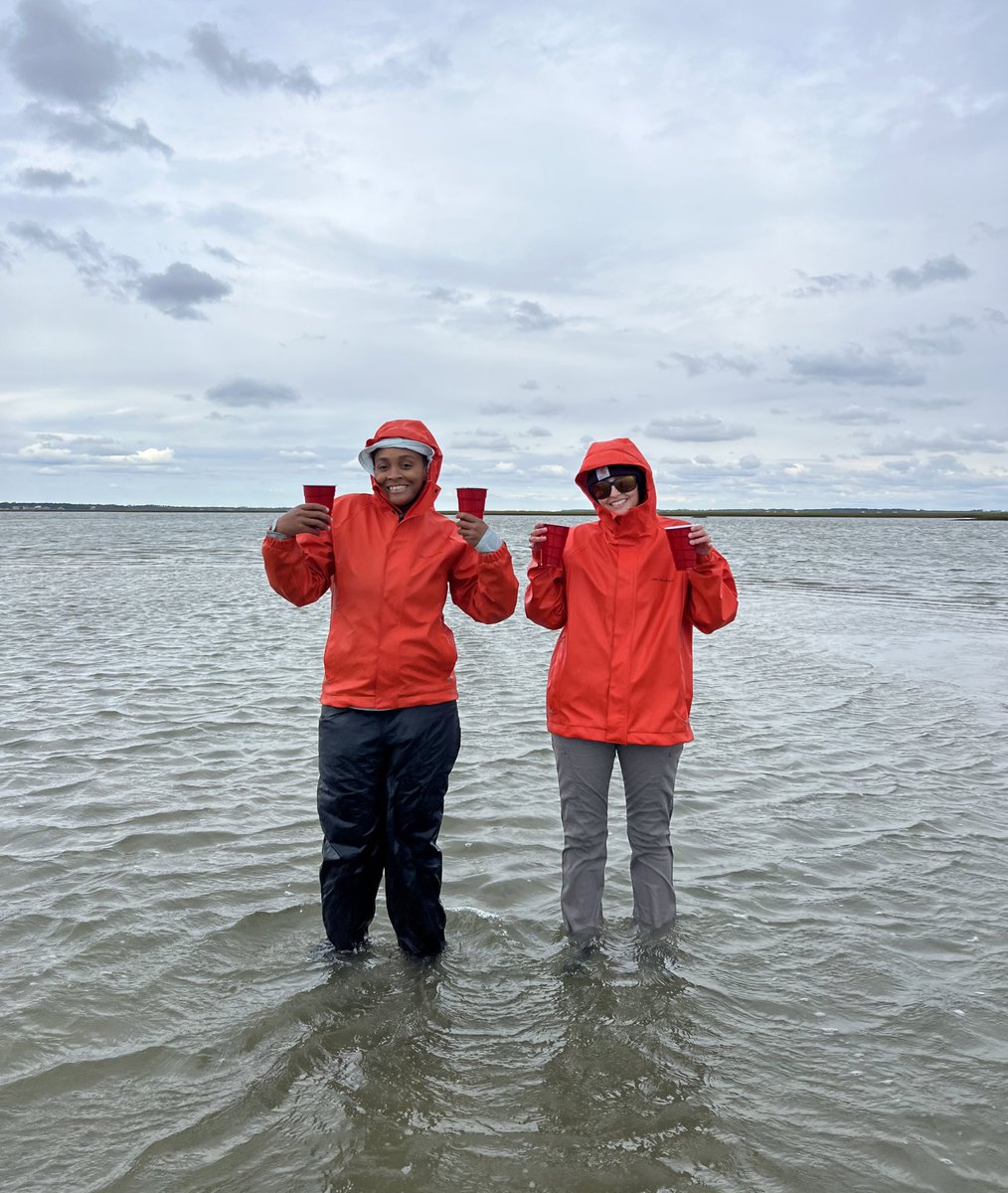 AlexisLongmire_'s tweet image. We’re back to basics this week for #seagrass planting with Ziploc bags and red solo cups 

We’ll see if our success rate is comparable to the #robot in this restoration #ManvsMachine…hopefully it’s the robot bc it’s getting awfully cold out here!

Media cred: @BruckHeather