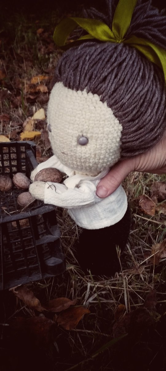 Time to harvest. 
Aaaaaand he's my assistant 😊