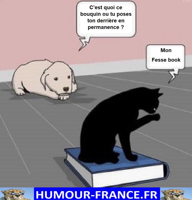 text alternatif