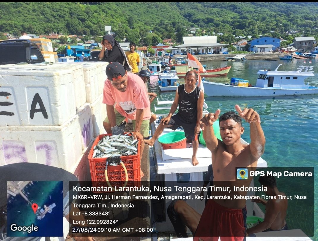YohMariaVianei's tweet photo. Senin (27/08/2024), Yoh Maria  Vianei Keni Bolen, Luhkan Flores Timur, di Nelayan An. Lukman Jamin, asal Desa Lamahala Jaya, Kec. Adonara Timur, mendata produksi ikan layang dan selar, sebanyak 500 kg, harga Rp. 15.000-25.000/Kg
#GiatLuhkanSatminkalGondol 
#Flotim #Tangkap https://t.co/UqTX87vQhB