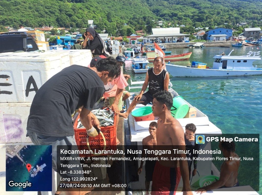 YohMariaVianei's tweet photo. Senin (27/08/2024), Yoh Maria  Vianei Keni Bolen, Luhkan Flores Timur, di Nelayan An. Lukman Jamin, asal Desa Lamahala Jaya, Kec. Adonara Timur, mendata produksi ikan layang dan selar, sebanyak 500 kg, harga Rp. 15.000-25.000/Kg
#GiatLuhkanSatminkalGondol 
#Flotim #Tangkap https://t.co/UqTX87vQhB