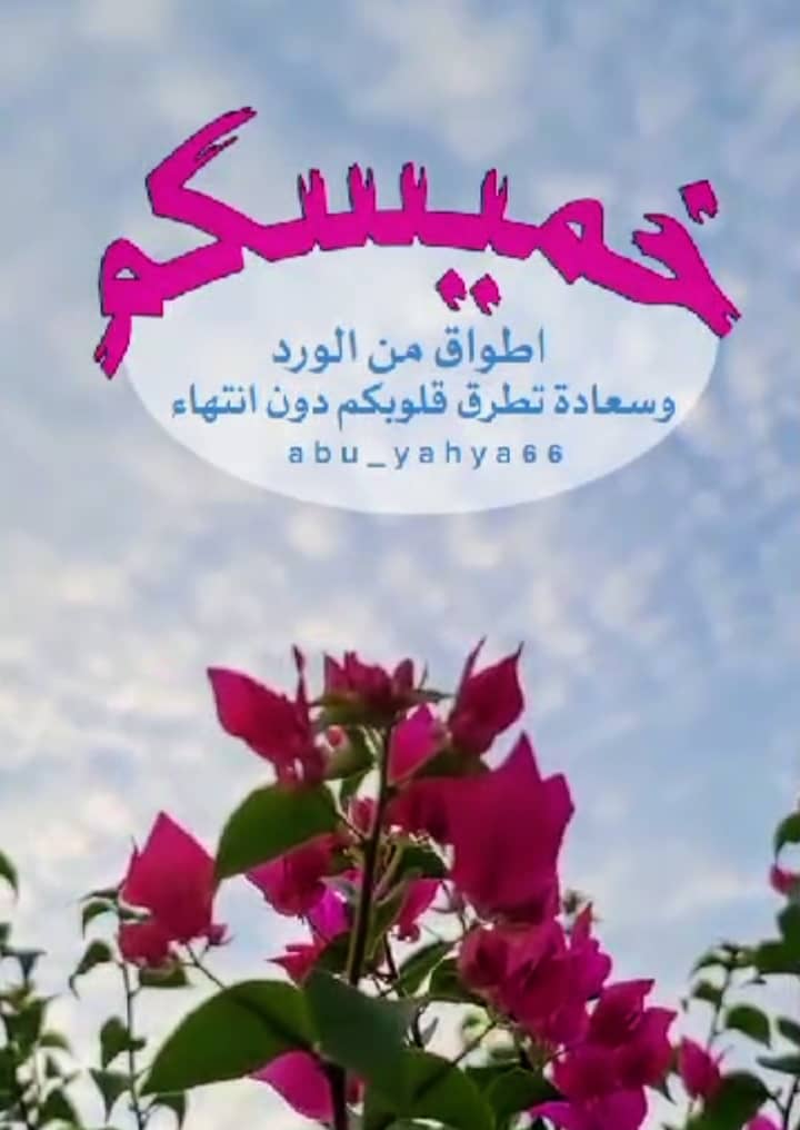 zki ziko (@zkiziko86) on Twitter photo 