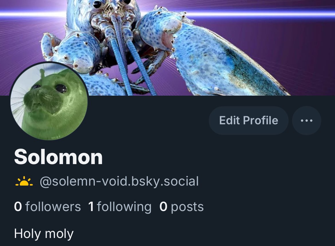 solemn_void's tweet image. chat go do the thing