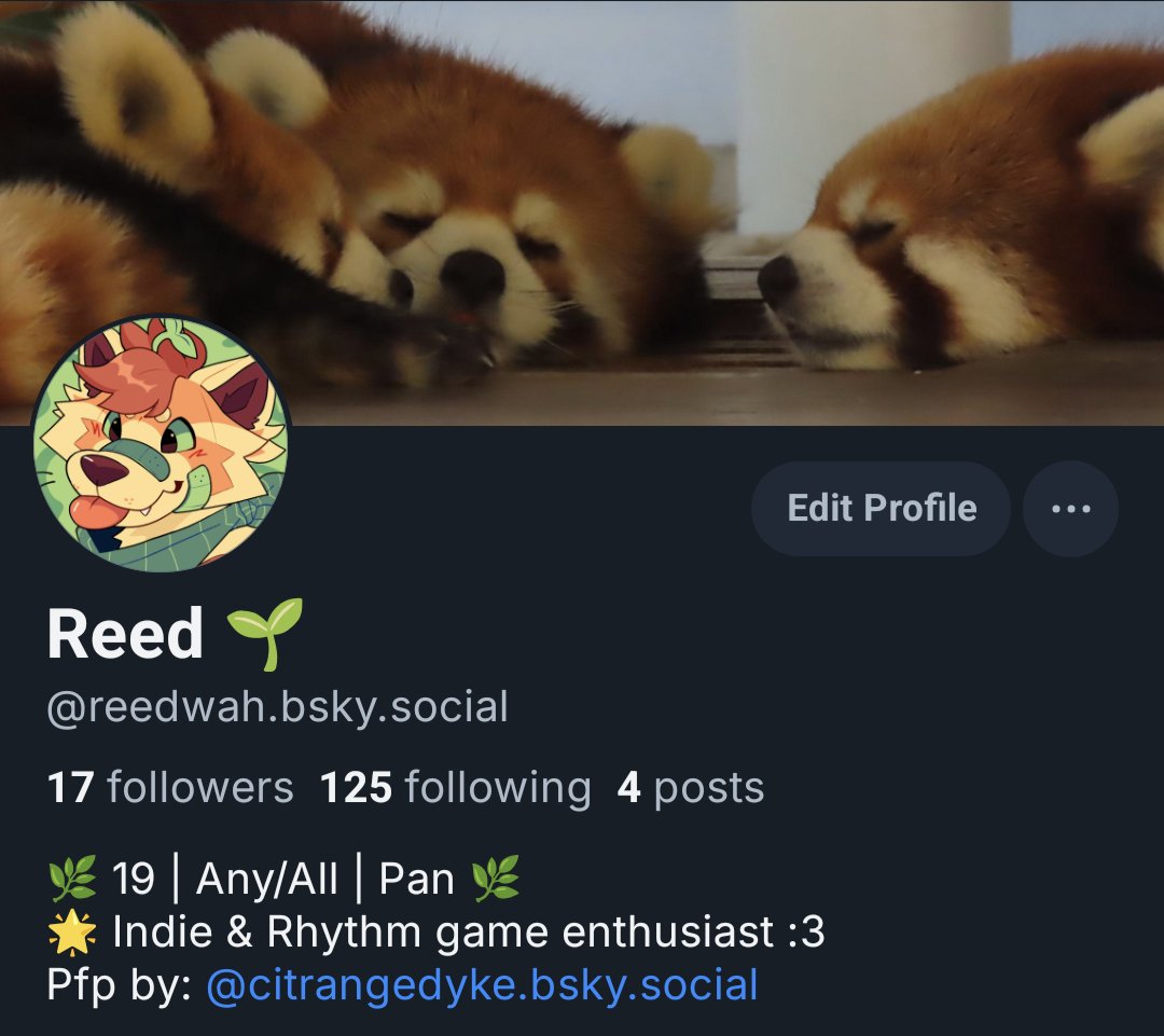 reedwah.bsky.social 🌱 tweet media