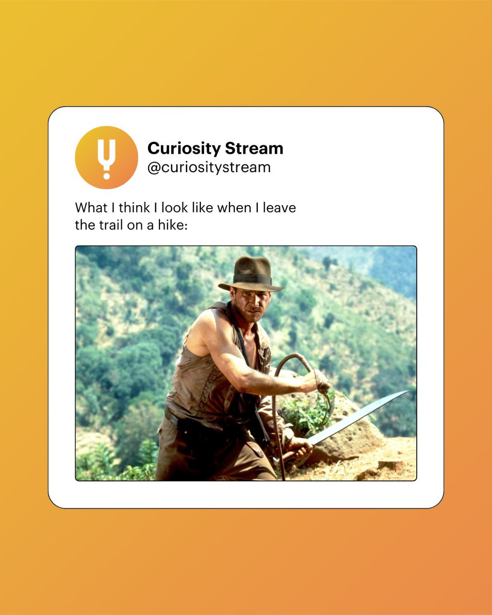 CuriosityStream's tweet image. We all have to be a little bit dangerous sometimes. 😉

Channel your inner danger when you stream Deadly Science on #curiositystream! Watch now through the link in our bio. 📺

📸: Paramount/Everett Collection

#watchandwonder #deadlyscience #indianajones #educationalcontent