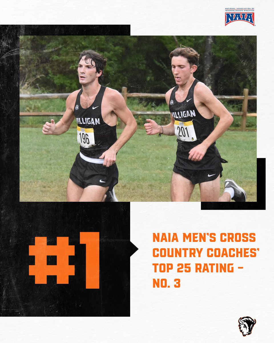MilliganBuffs's tweet photo. THREE IN A ROW ON🔝

Both @milliganxctf cross country teams are ranked No. 1 in the NAIA via the Coaches’ Top 25 Rating - No. 3

It’s the third straight rating in which both Milligan squads have held the top spot!

Head to https://t.co/BoDbIHrN8P for more

#GoBuffs #BuffStrong🦬 https://t.co/wnRxLnGGPY