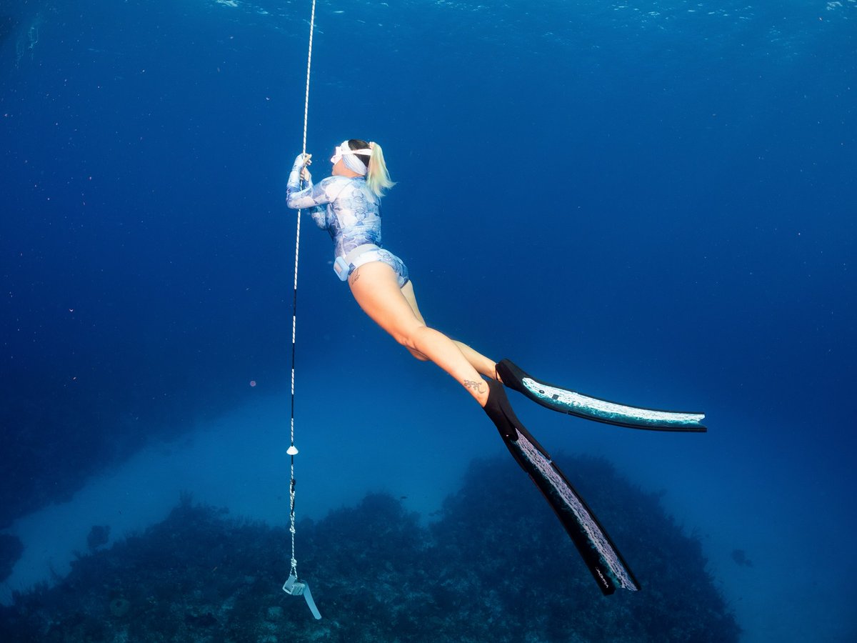 scubadivingyard's tweet photo. ᴀᴛ ᴛʜᴇ ᴅᴇᴘᴛʜꜱ ᴡʜᴇʀᴇ ꜱɪʟᴇɴᴄᴇ ʀᴇɪɢɴꜱ, ɪ ꜱᴏᴍᴇᴛɪᴍᴇꜱ ʟɪɴɢᴇʀ, ꜱᴀᴠᴏʀɪɴɢ ᴛʜᴇ ᴘʀᴇᴄɪᴏᴜꜱɴᴇꜱꜱ ᴏꜰ ᴛʜᴇ ᴍᴏᴍᴇɴᴛ
#freediveart #freediving #freedive #freedivers #freediverlife #ocean #mermaid https://t.co/zXwcntFdG9