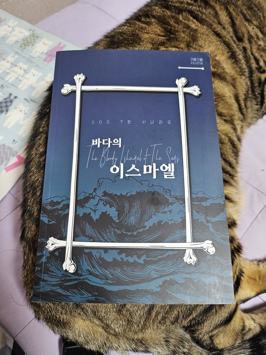 계정을 소중히 하자 tweet media