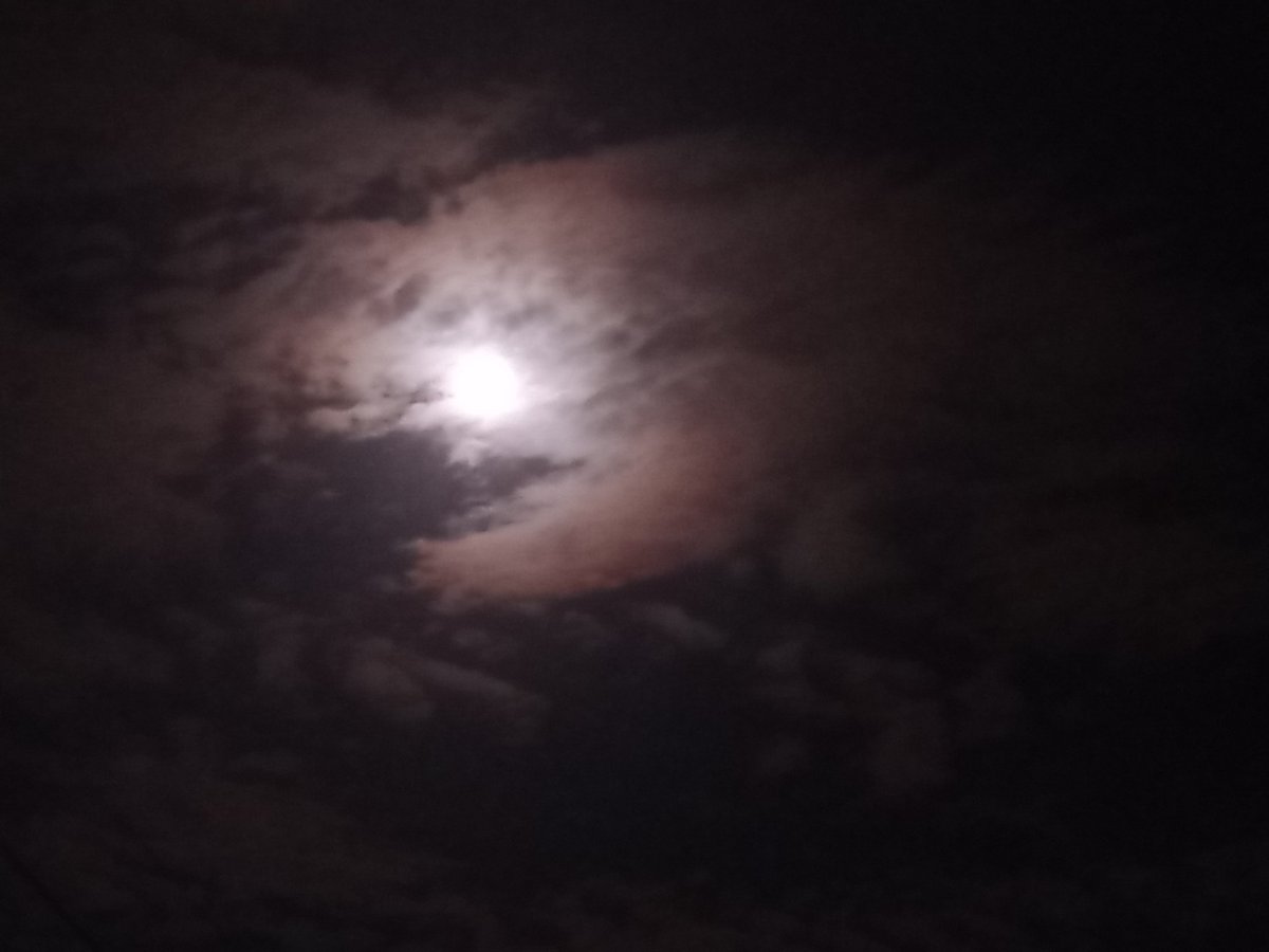 kansorn_CVTC's tweet photo. 🌕 https://t.co/npcqE9ezIy