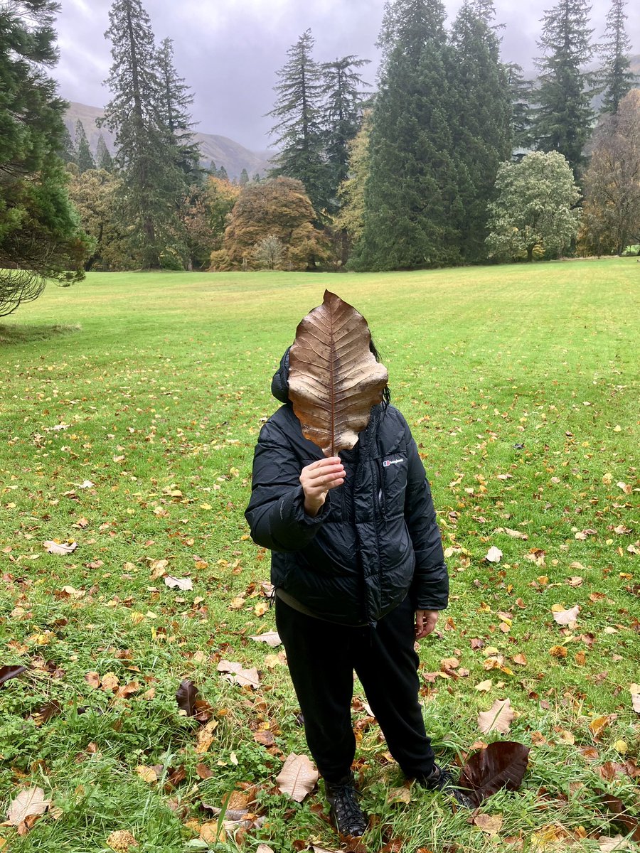 rosiemilo's tweet photo. @BenmoreBotGdn in autumn for amazing colours! @VisitScotland https://t.co/dD1Z287fJt