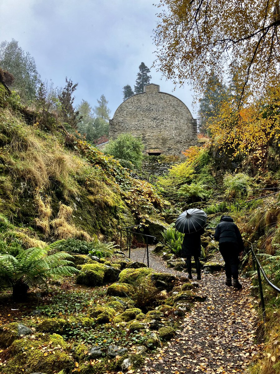 rosiemilo's tweet photo. @BenmoreBotGdn in autumn for amazing colours! @VisitScotland https://t.co/dD1Z287fJt