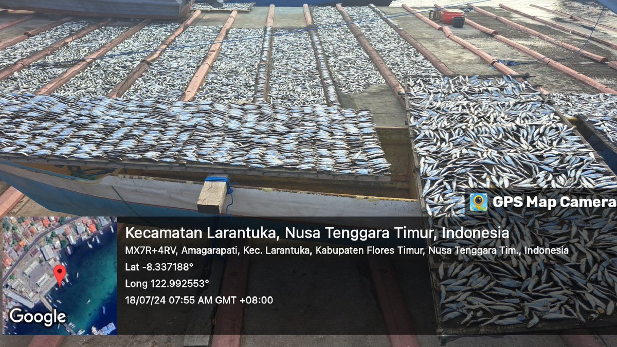 YohMariaVianei's tweet photo. Kamis (18/07/2024), Yoh Maria  Vianei Keni Bolen, Luhkan Flores Timur, di Pemasar An. Jahria Bewa, asal Kelurahan Ekasapta, Kec. Larantuka, mendata produksi ikan layang kering, sebanyak 50 kg, harga Rp. 35.000-50.000/Kg
#GiatLuhkanSatminkalGondol 
#Flotim #Produksi https://t.co/SaHvMm8Cau