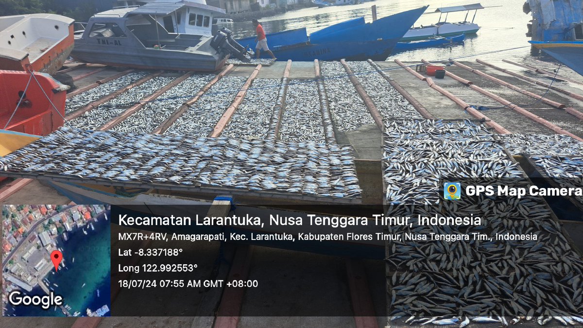 YohMariaVianei's tweet photo. Kamis (18/07/2024), Yoh Maria  Vianei Keni Bolen, Luhkan Flores Timur, di Pemasar An. Jahria Bewa, asal Kelurahan Ekasapta, Kec. Larantuka, mendata produksi ikan layang kering, sebanyak 50 kg, harga Rp. 35.000-50.000/Kg
#GiatLuhkanSatminkalGondol 
#Flotim #Produksi https://t.co/SaHvMm8Cau