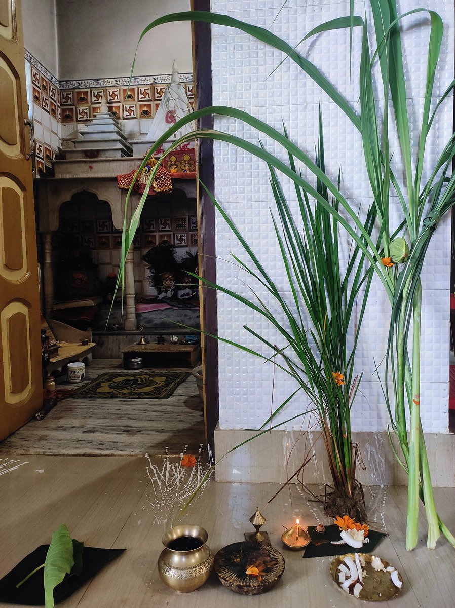 ଗର୍ଭଣା ସଂକ୍ରାନ୍ତି
