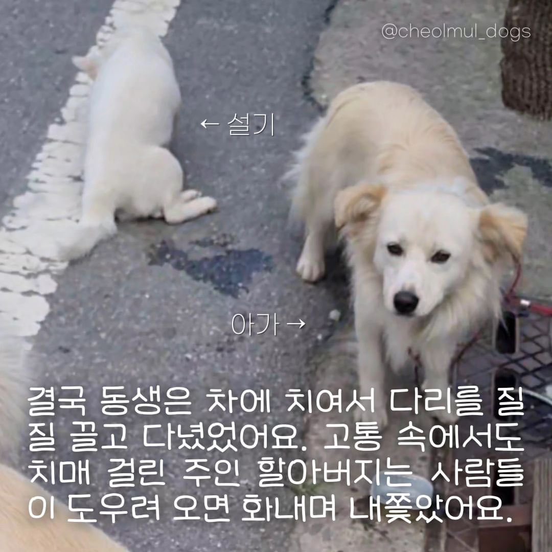 태언 tweet media