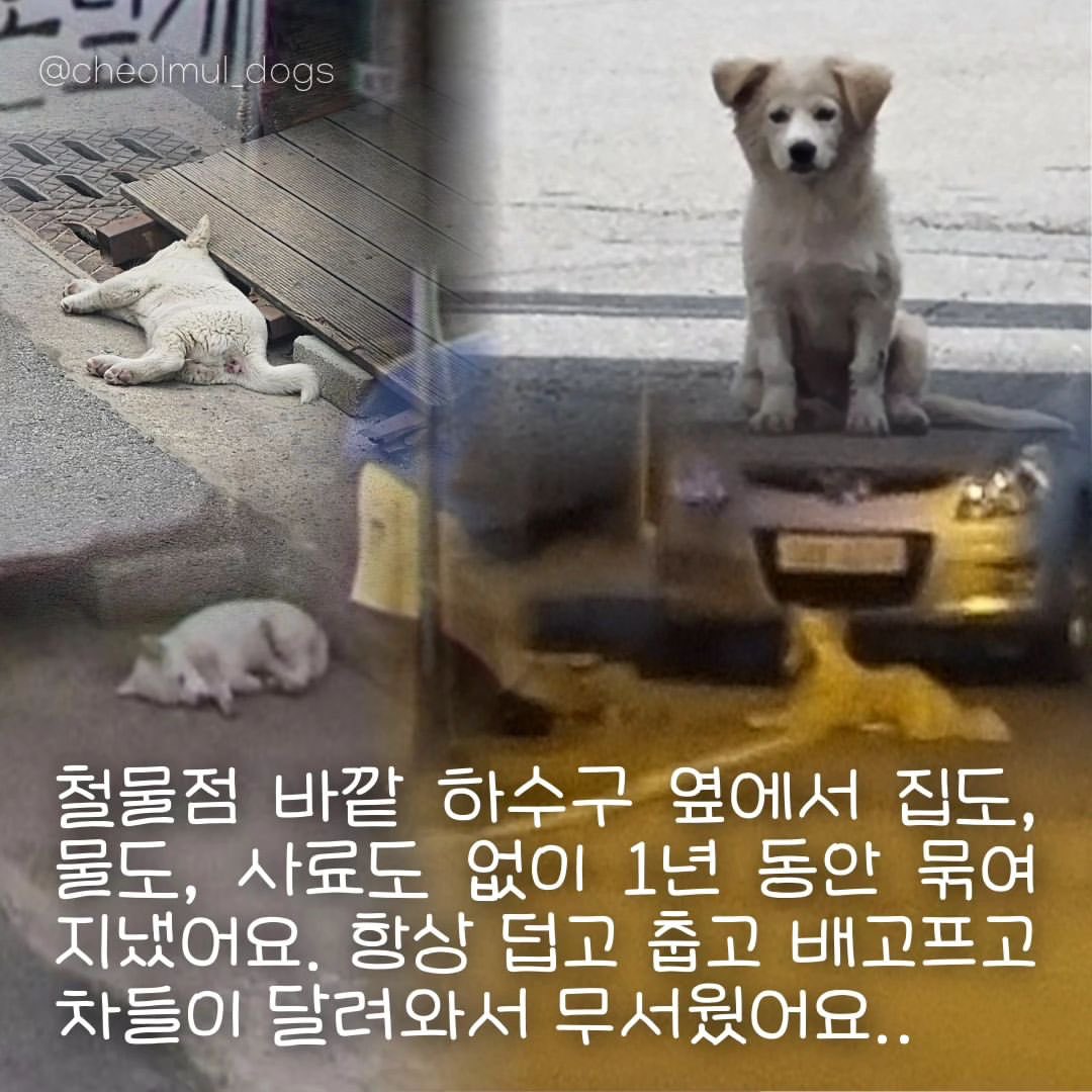 태언 tweet media