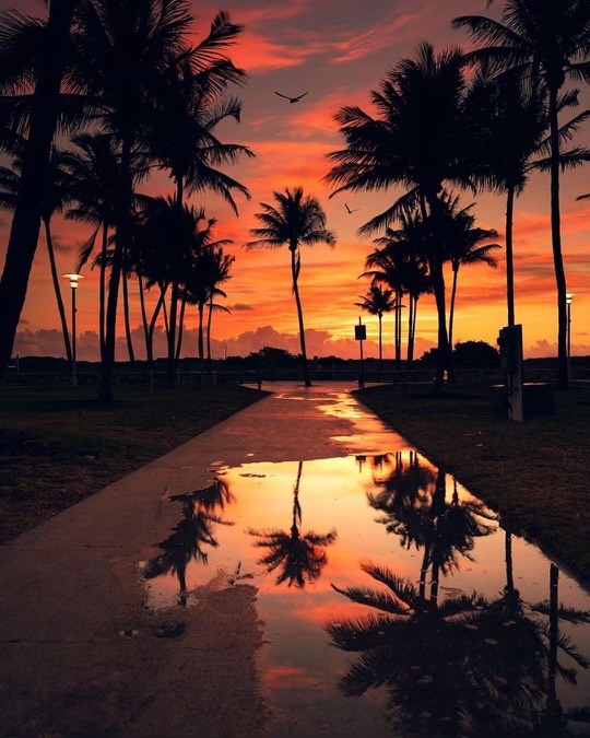 EarthPix's tweet photo. Sunset 🌅 in South Beach, Miami Florida by @alexyp_  on instagram https://t.co/uNgsdu9hVb