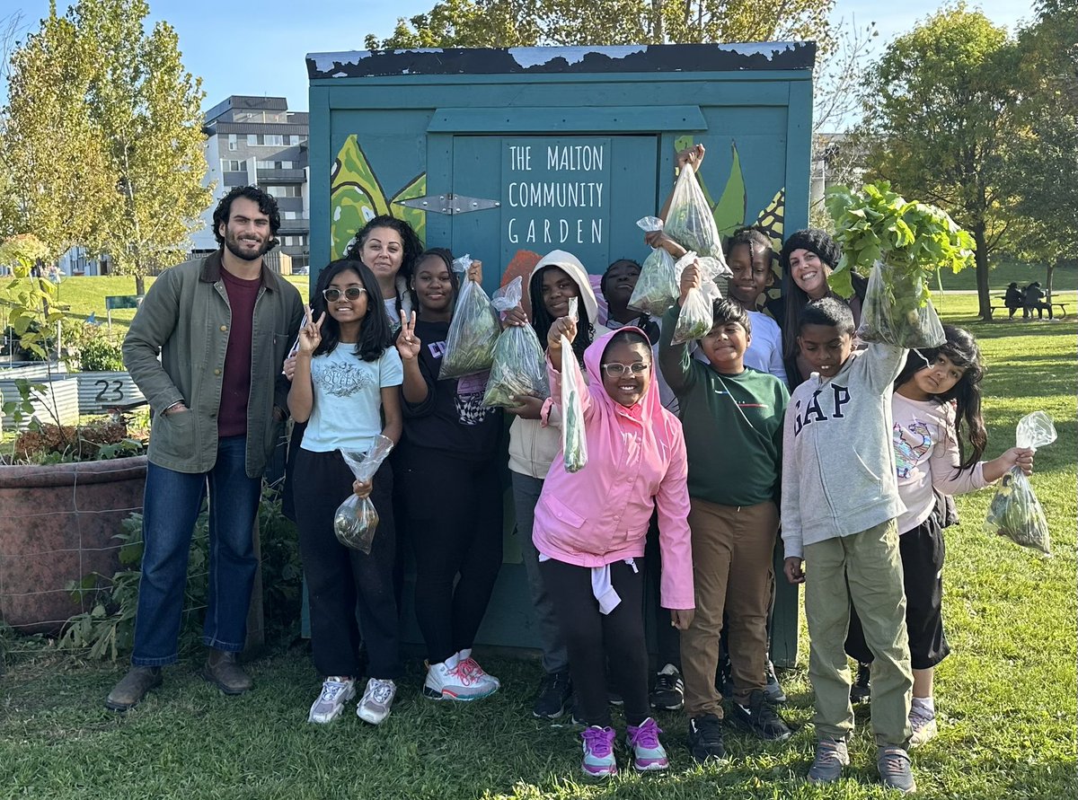 mssantin_grade1's tweet photo. Today the Eco Team members visited the Malton Community Garden. They helped to clean up the garden and they even harvested some veggies to take home with them. Can’t wait to plant garlic next week. @HCMaltonDPCDSB https://t.co/JWlLXwLOcX