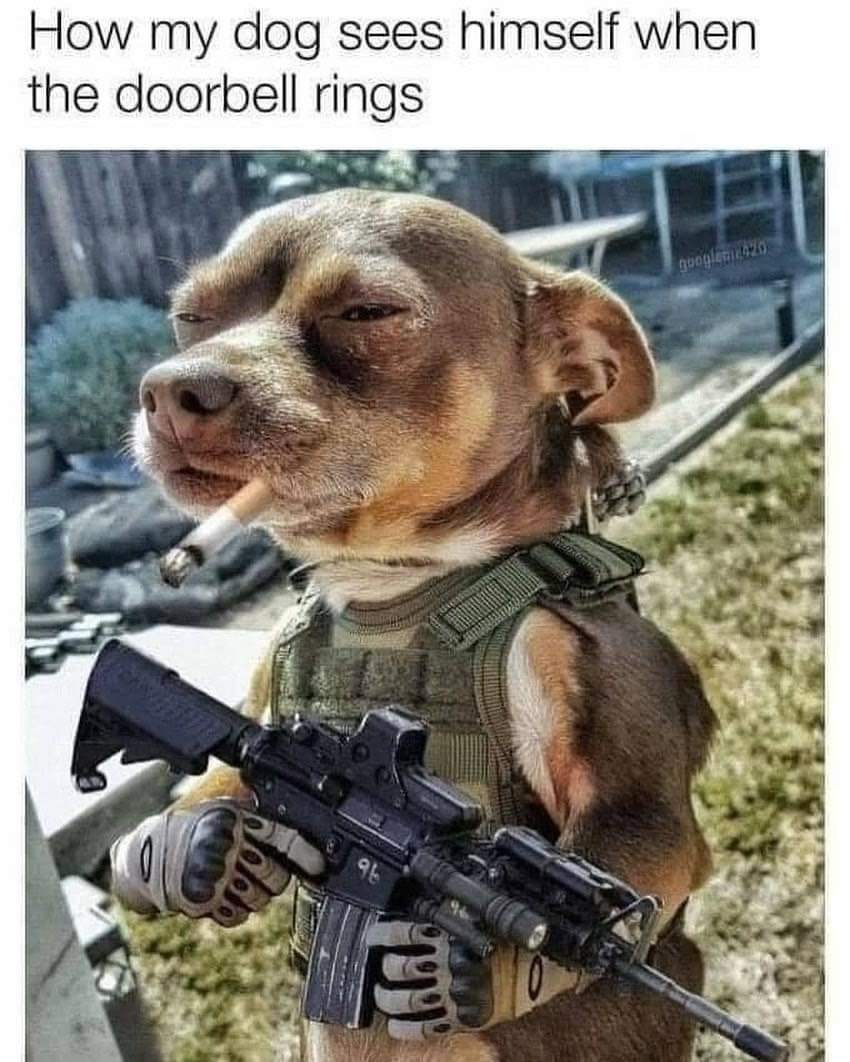 SpillTheMemes's tweet photo. 😂 https://t.co/YcMwGNE6I3
