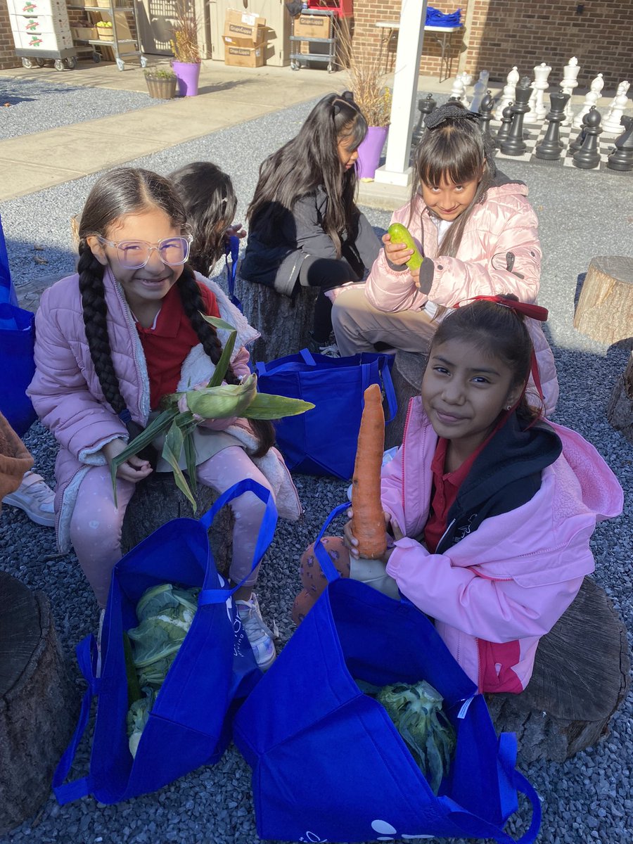 Laura Butler tweet media