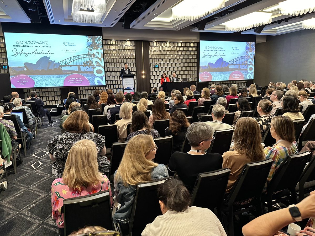 Stephen Lapinsky tweet media