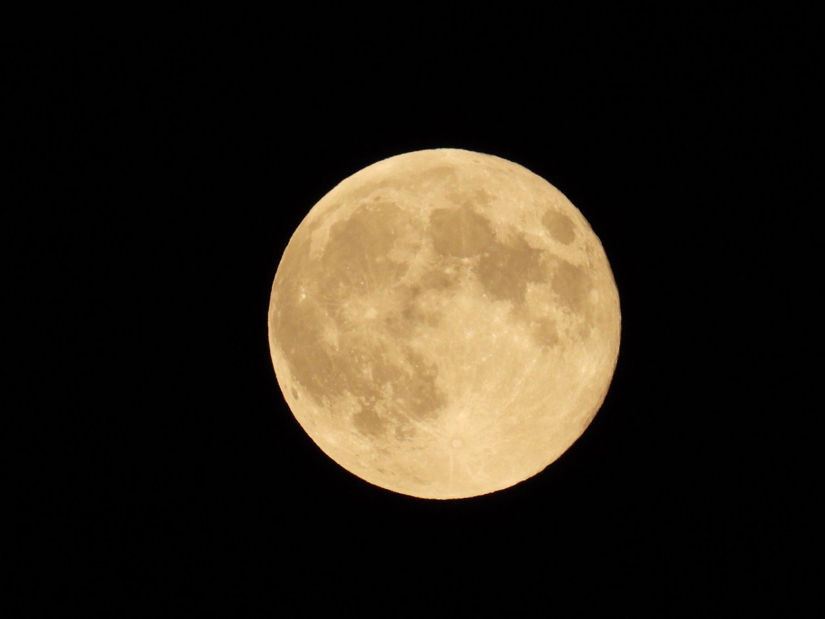 astronomy_dan's tweet photo. Tonight's Full Hunters Supermoon over Wolverhampton West Midlands on 17/10/24. #Fullhuntersmoon #supermoon #HuntersSupermoon #HuntersMoon #luna @MoonHourSocial @BBCStargazing @bbcweather https://t.co/XMJ1LZ7CML
