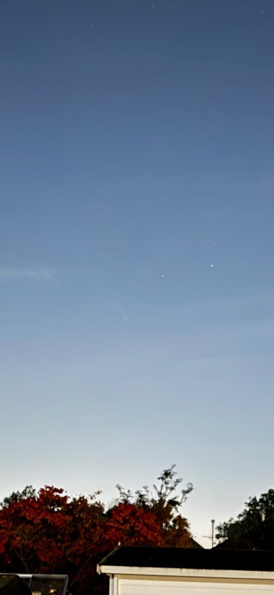 Tiptree Star Gazers tweet media