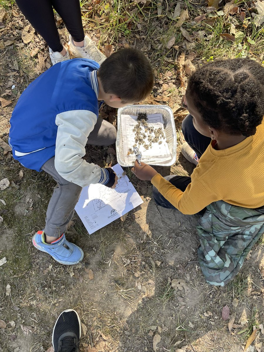 Bird Days Field Trip was a HOOT🦉 #TrustyHuskies #AHL_AVID