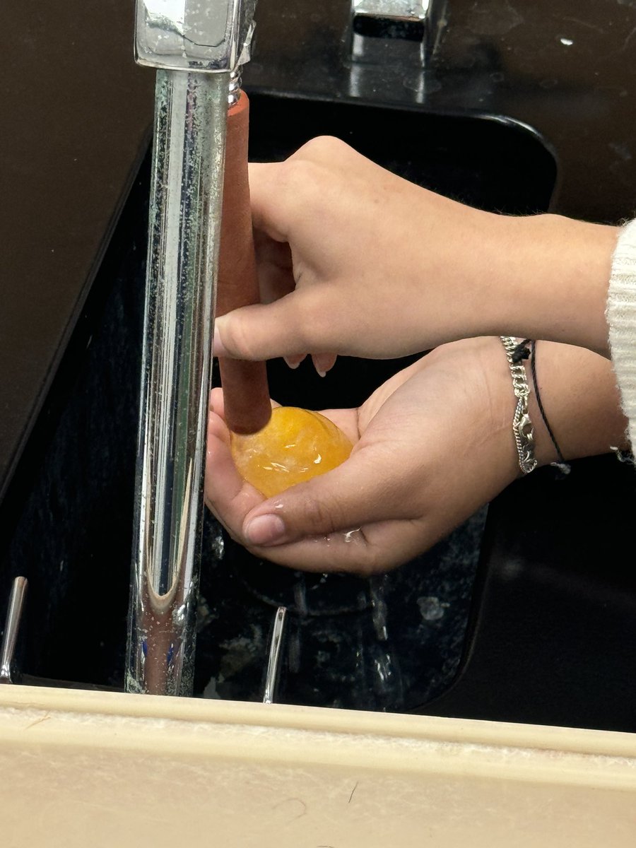 Spalding Biology tweet media