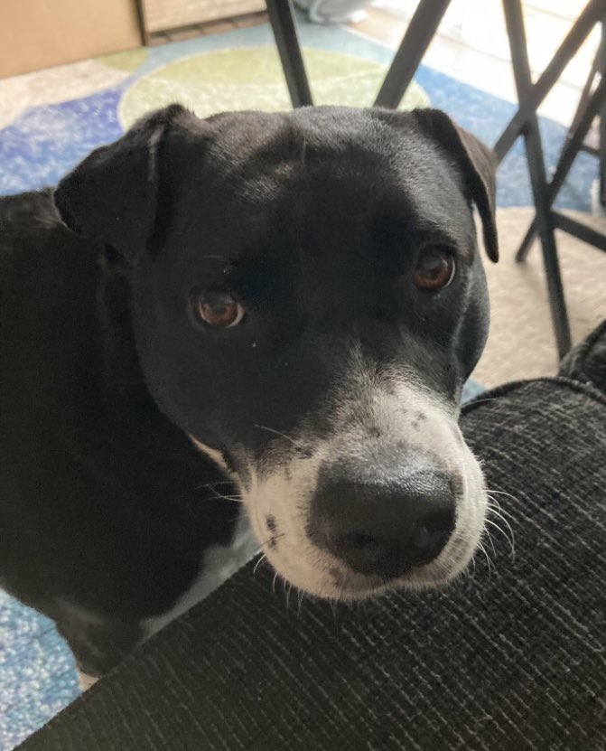 FadeOutPodcast tweet media