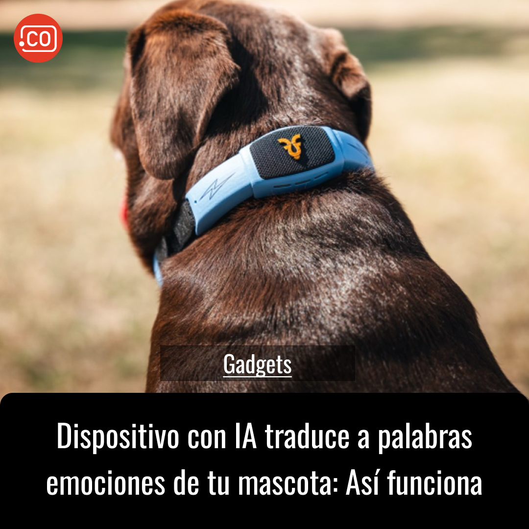 ENTERCO's tweet photo. Shazam Band es un dispositivo IA que marcaría una nueva era en la conexión cognitiva entre mascotas y humanos. DETALLES 👇 
https://t.co/cIuAgIgnJR https://t.co/tpjGtyQkGc