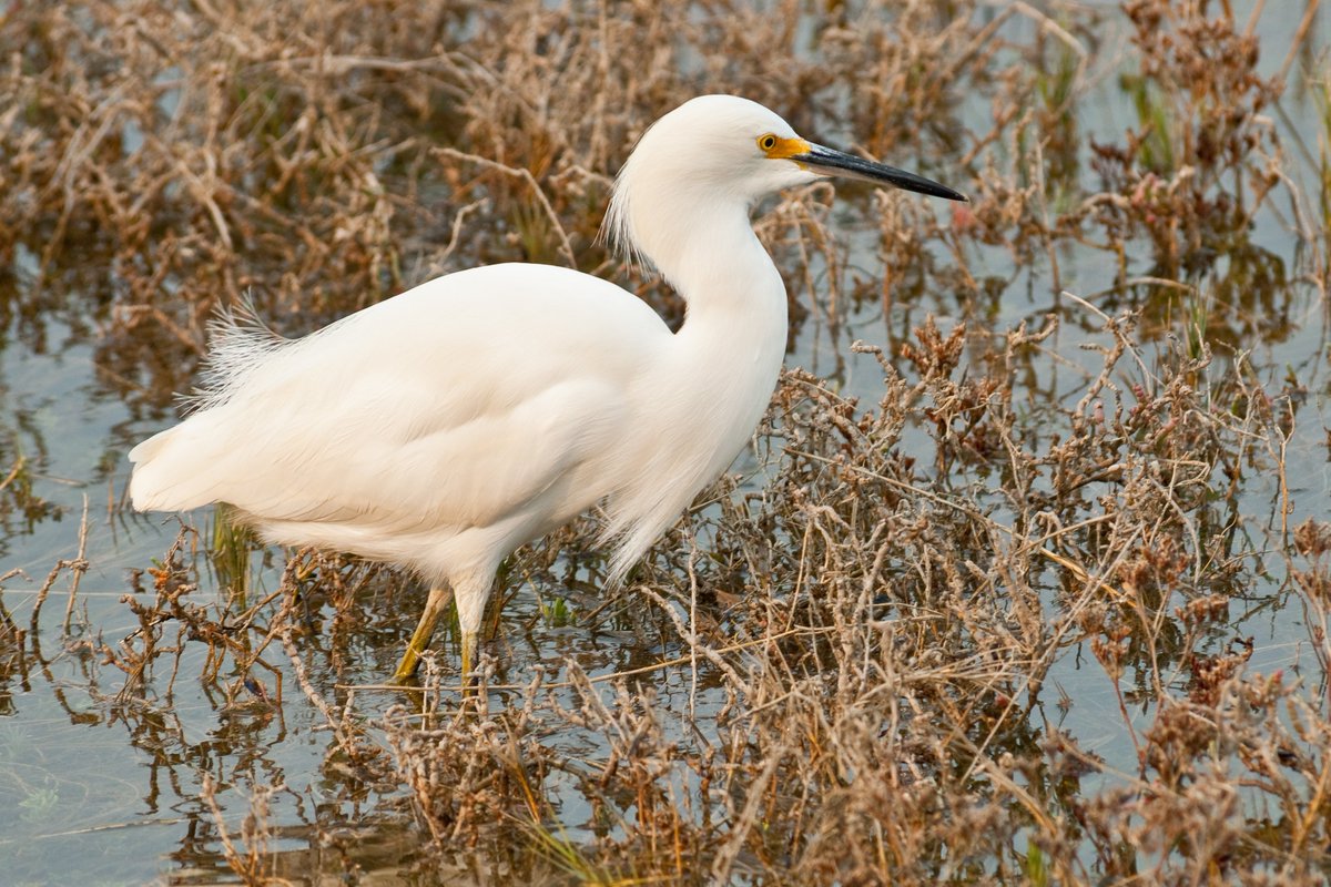 The Clean Water Act-It’s why we do what we do! Signed into law on October 18, 1972, the Federal Clean Water Act has helped improve America’s waterways. Working with agencies from around Alameda County, We facilitate local compliance with the Federal Clean Water Act.