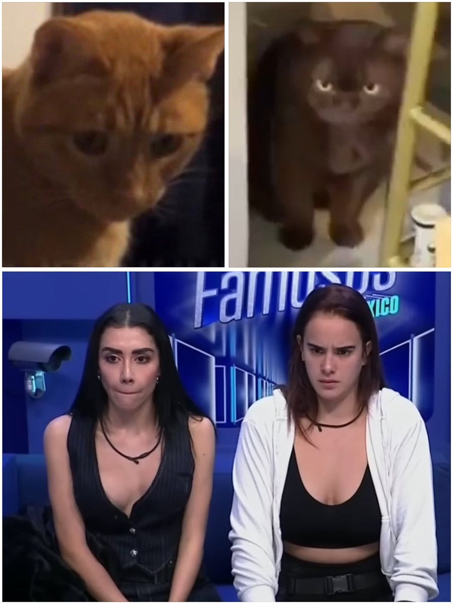 ZezeMx's tweet photo. Como que tienen a sus hijos intercambiados 🙀 jajajjja y si parece 💛💛
  #Garime https://t.co/rYGdokkOLO