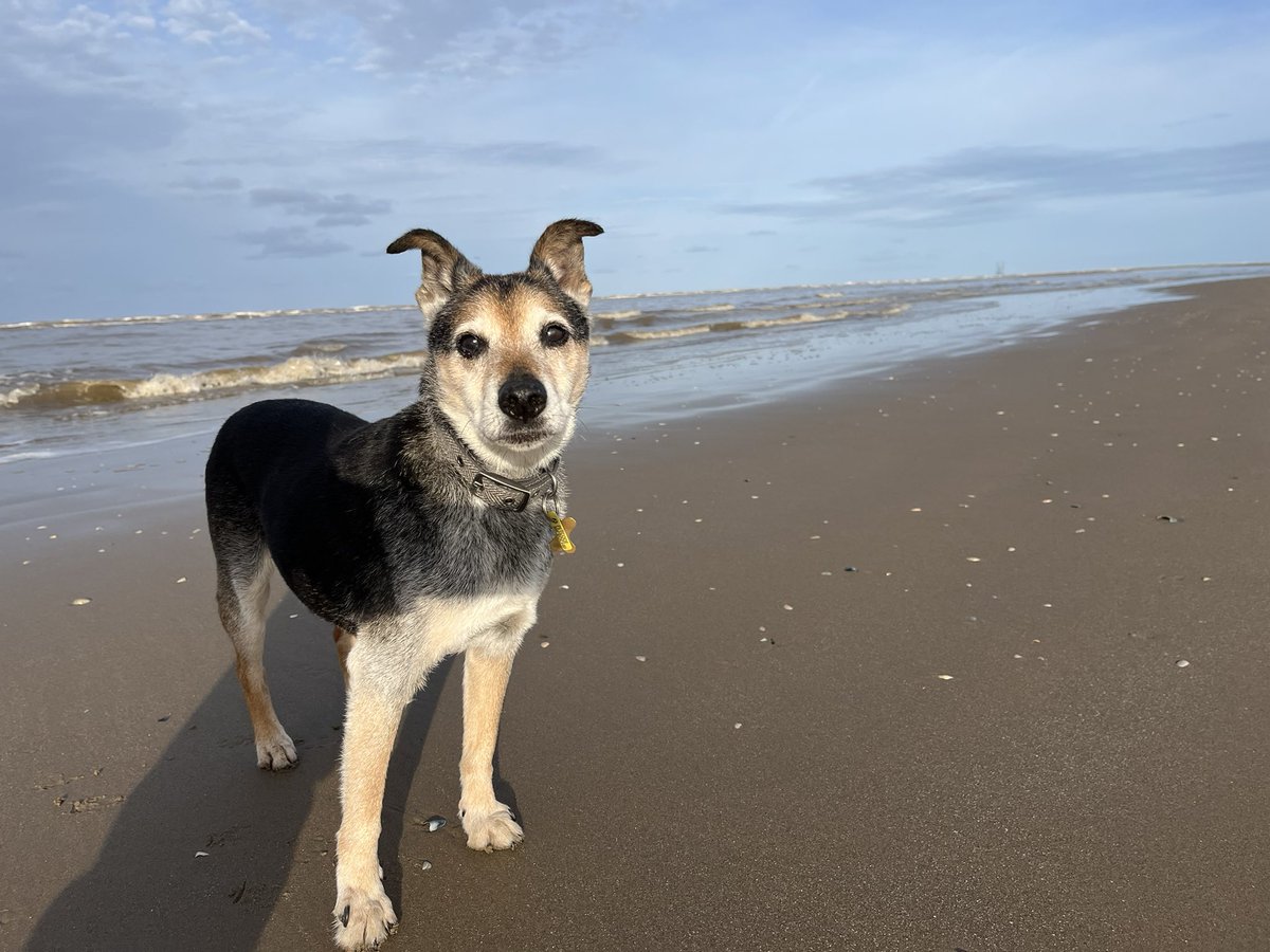 WalkingMunro's tweet photo. #Formbybeach https://t.co/JVKGvQyeQ8