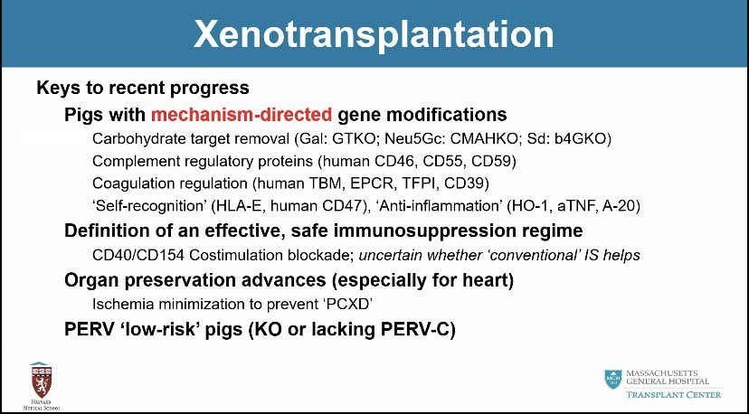 MGHHCICU's tweet image. Congrats to our #CSICU attending Richard N. Pierson (and transplant surgeon & researcher), and @MassGeneralMDs colleagues (@LVRiella, Drs Madsen, Kawai, others) on body of work and spectacular @MGHSurgery Grand Rounds today
nej.md/38qn60c