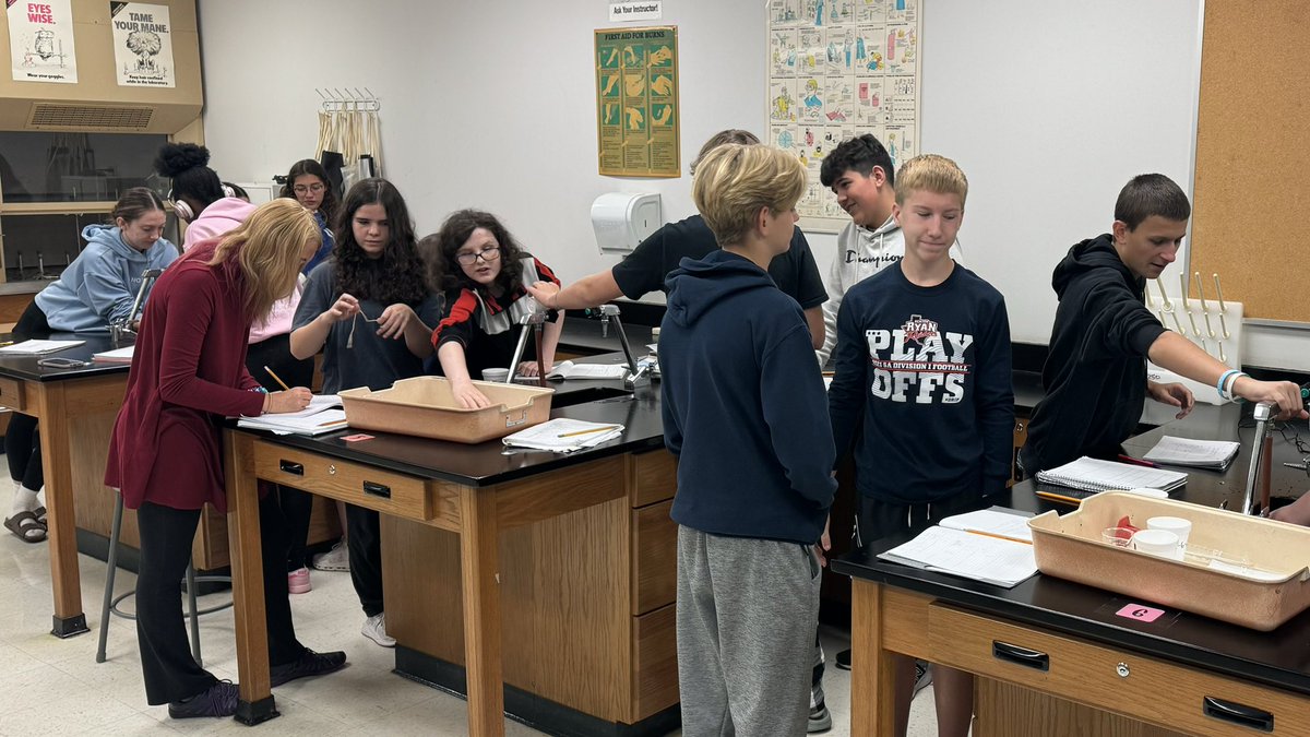 Spalding Biology tweet media