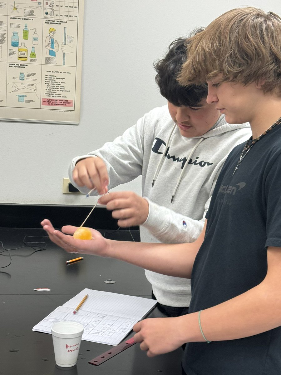 Spalding Biology tweet media