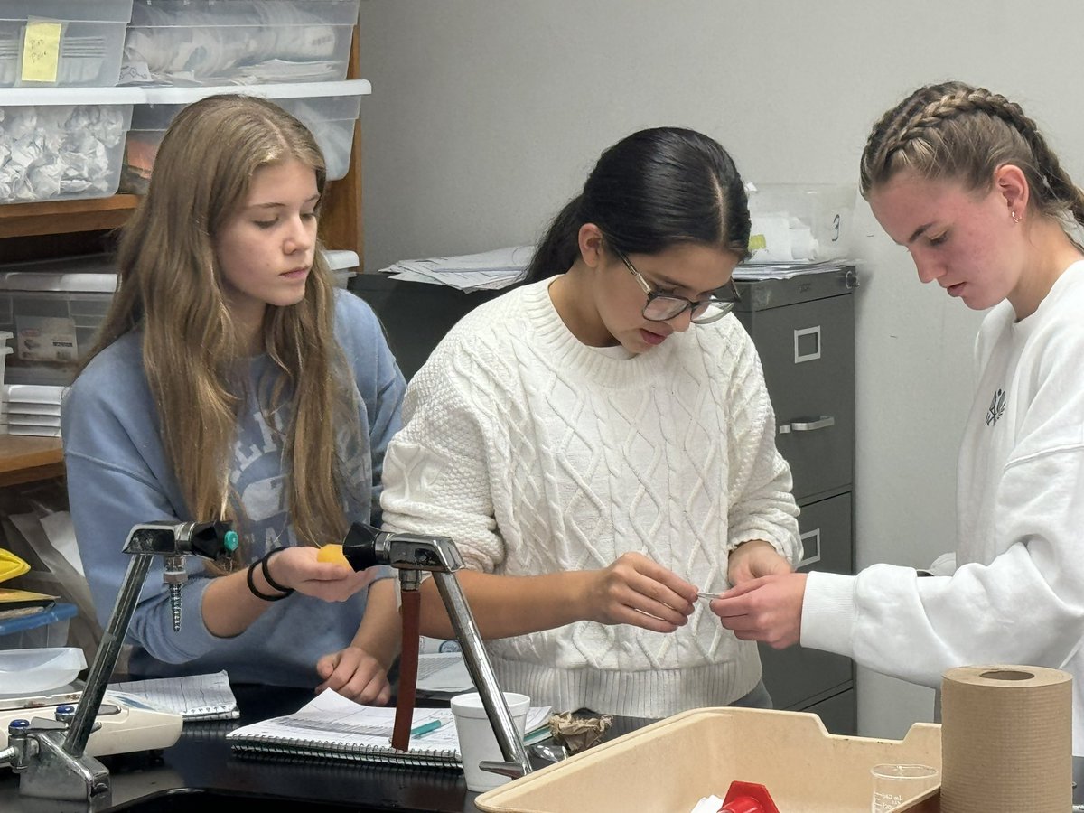 Spalding Biology tweet media