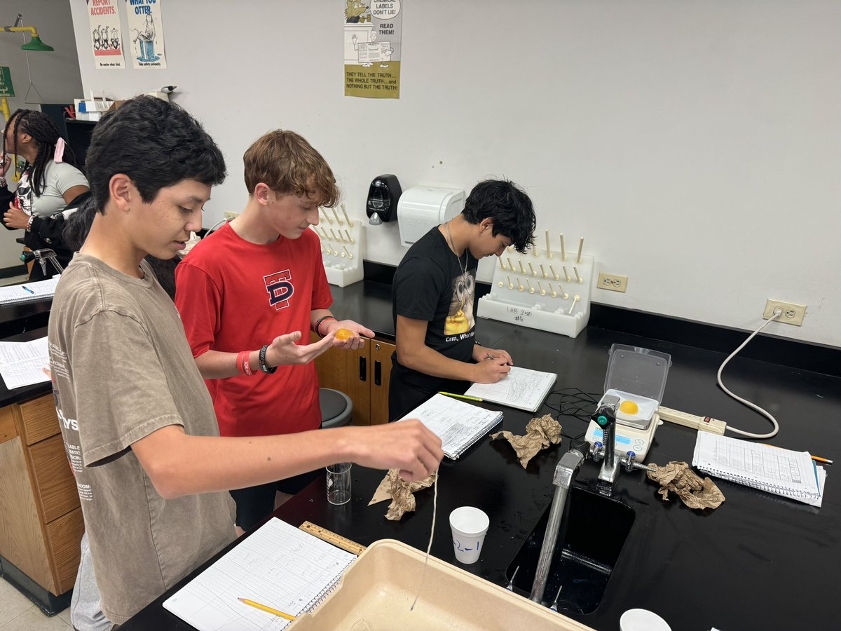 Spalding Biology tweet media