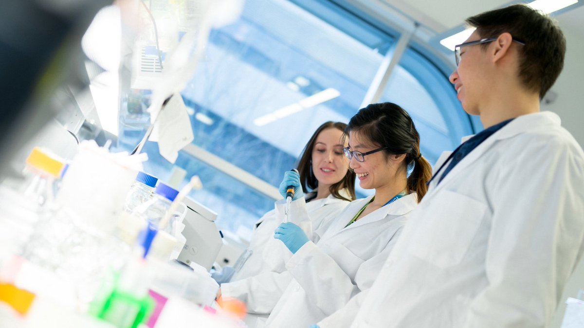 UBC Life tweet media