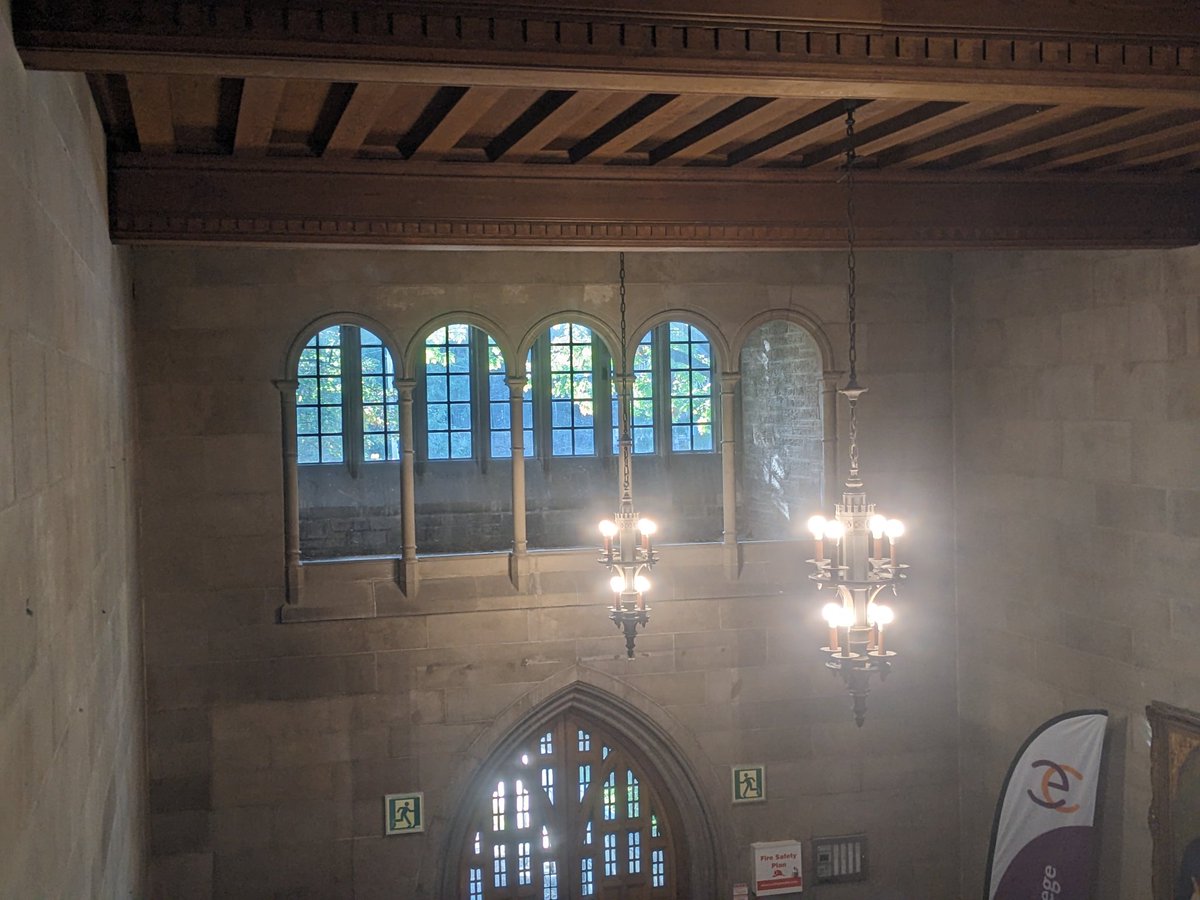 Hallowed Erik Mohr ☀️ tweet media