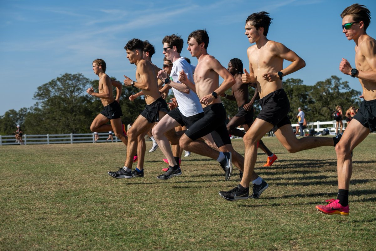 Prep work done ✅

#GMG🦅