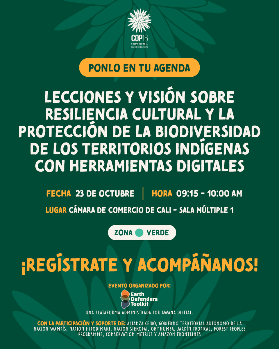 AFrontlines_ES tweet media